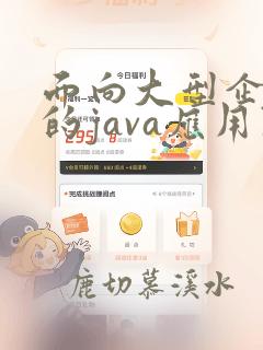 面向大型企业级的java应用开发平台
