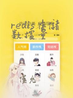 redis存储数据量