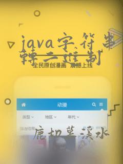 java字符串转二进制