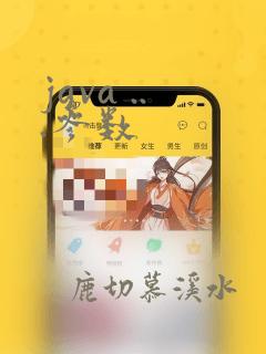 java ...参数