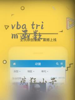 vba trim函数