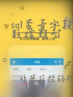 sql查看字段数据类型