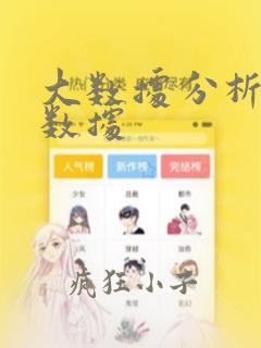 大数据分析和大数据