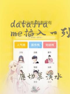 dataframe插入一列