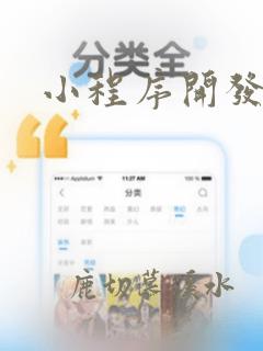 小程序开发编程