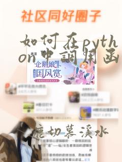 如何在python中调用函数