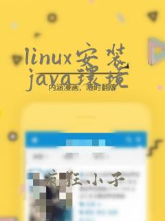 linux安装java环境