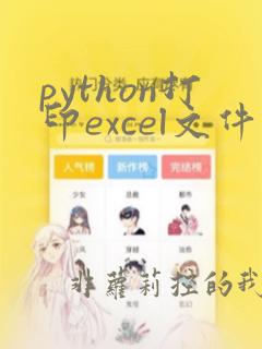 python打印excel文件