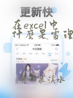 在excel中什么是处理和存储数据的文件