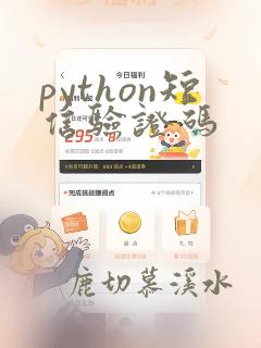 python短信验证码