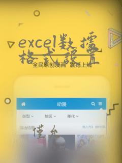 excel数据格式设置