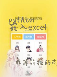 python 嵌入excel