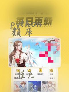 python 类库