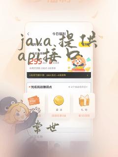 java 提供api接口