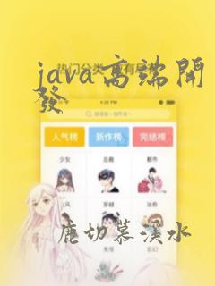 java高端开发