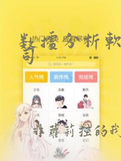 数据分析软件公司