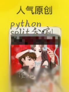 python split分割