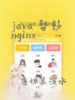java 启动nginx