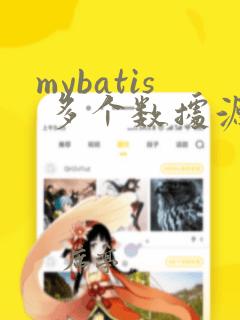 mybatis 多个数据源