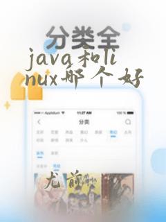 java和linux哪个好