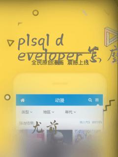 plsql developer怎么运行sql语句