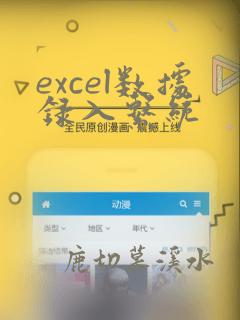 excel数据录入系统