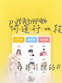python如何运行一段代码