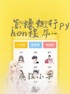 怎样执行python程序