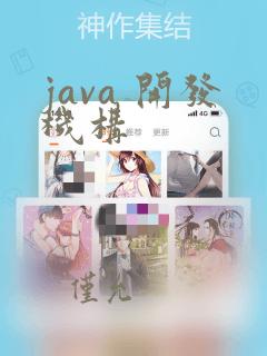 java 开发机构