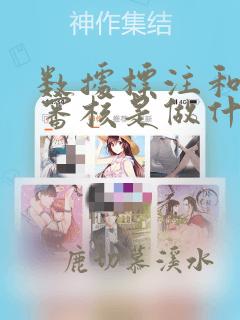 数据标注和数据审核是做什么的