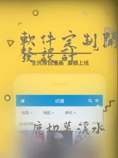 软件定制开发开发设计