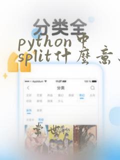 python中split什么意思