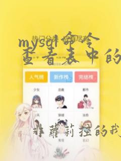 mysql命令查看表中的数据
