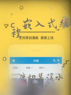 c 嵌入式编程
