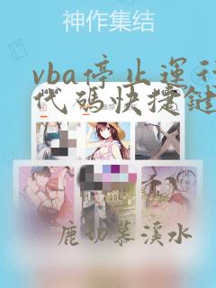 vba停止运行代码快捷键