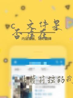 c   文件是否存在