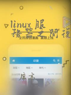 linux 服务器之间复制文件