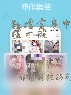 数据仓库中的数据一般