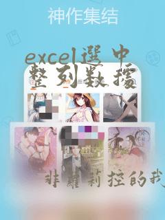 excel选中整列数据