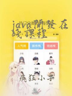 java开发在线课程