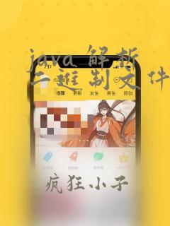 java 解析二进制文件