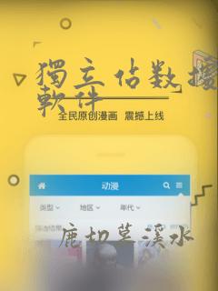 独立站数据分析软件
