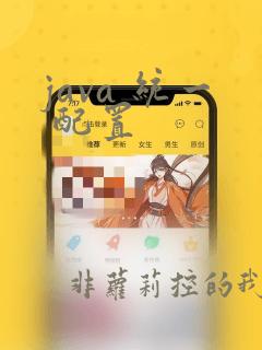 java 统一 配置
