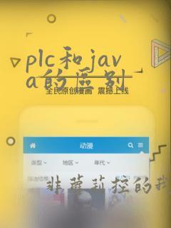plc和java的区别