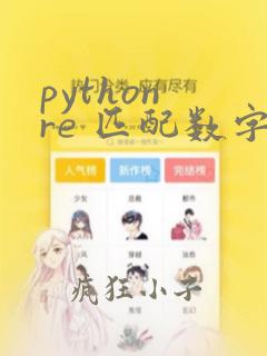 python re 匹配数字