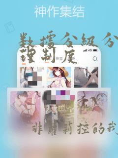 数据分级分类管理制度