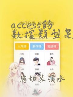 access的数据类型是