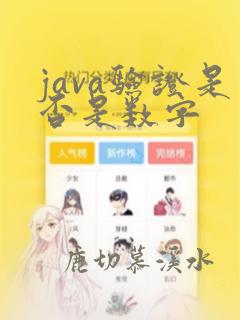 java验证是否是数字