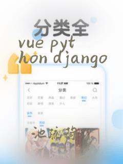 vue python django