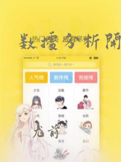 数据分析开发师